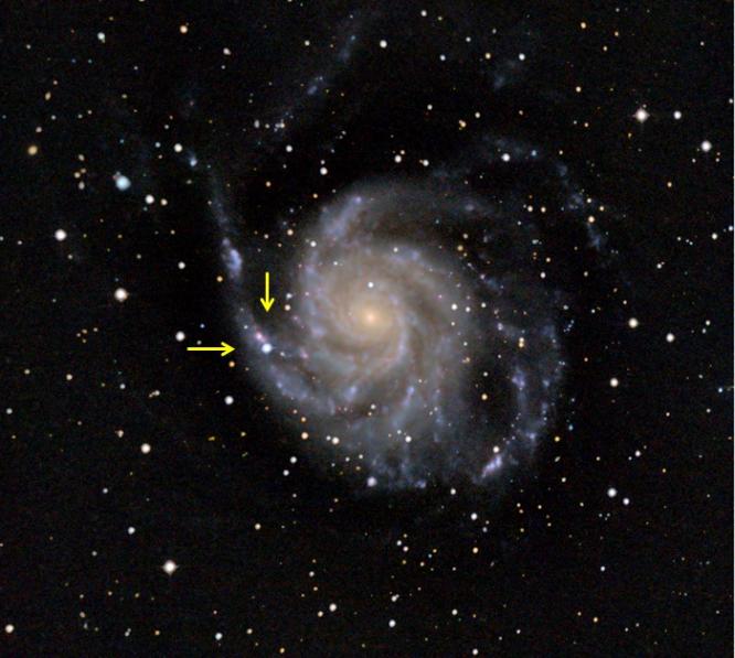 sn2023ifx.jpg