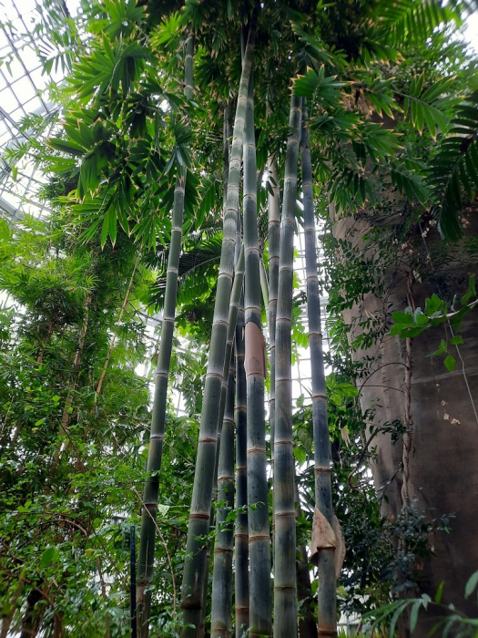 k_20230418_102544a.jpg